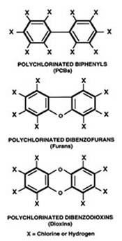 오염지역정화및복원기술 (9) 3) 생물학적정화기술 ( 주요오염물의분해 5) 5 Chlorinated Aromatic Hydrocarbons 염소계방향족탄화수소 정화대상물질 - Chlorophenol, Chlorobenzene, Chloroaniline, PCBs, Pesticdes