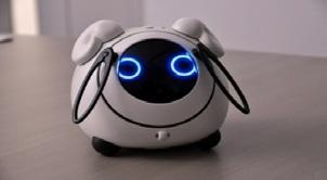 프랑스로봇스타트업 블루프로그로보틱스 (Blue Frog Robotics) 가개발한로봇버디는홈서비스, 보안, 비디오촬영및전송, 스마트폰연동등을탑재한가정용소셜로봇으로가족의얼굴을인식하고,