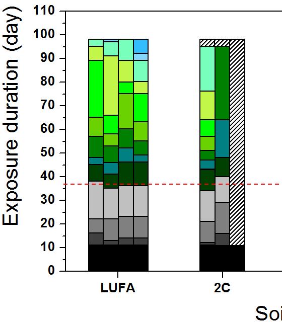 나발달단계평가대조군토양인 LUFA와 2공구오염토 (2C), 정화토 (2R), 그리고개량토 (2A) 의발달단계분석결과는다음그림과같다. LUFA의경우는 1차정식후약 38일차에 V2 단계로모든반복수가생존하였으며, 이후실험종료시에는 V11 단계까지발달단계를나타내었다.