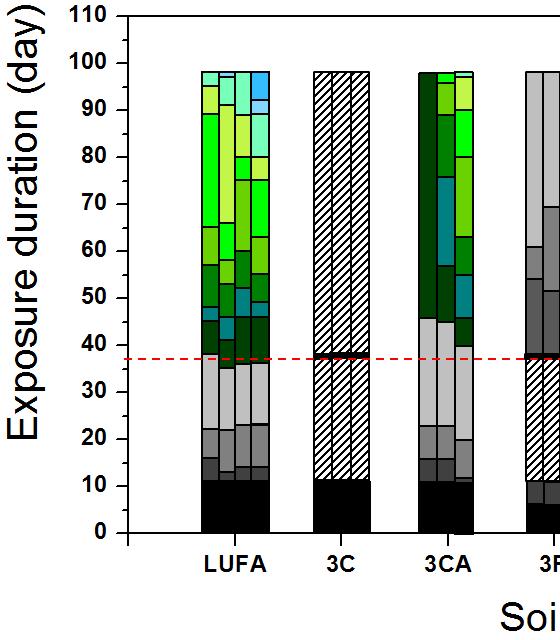 나발달단계평가대조군토양인 LUFA와 3공구오염토 (3C), 오염개량토, 정화토, 개량토-1(3A1), 개량토-2(3A2), 그리고개량토-3(3A3) 의발달단계분석결과는다음그림과같다. LUFA의경우는 1차정식후약 38일차에 V2 단계로모든반복수가생존하였으며, 이후실험종료시에는 V11 단계까지발달단계를나타내었다.