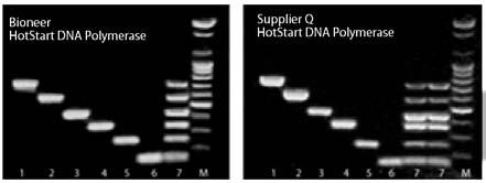 HotStart DNA Polymerase Storage Conditions ph 8.2, Tris-HCl, KCl, EDTA, DTT, stabilizers, etc.