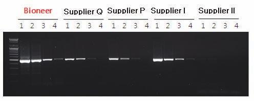 AccuPower RocketScript RT-PCR PreMix Experimental Data Figure 1. Performance comparison between AccuPower RocketScript TM RT-PCR PreMix and competitor RT-PCR kits.