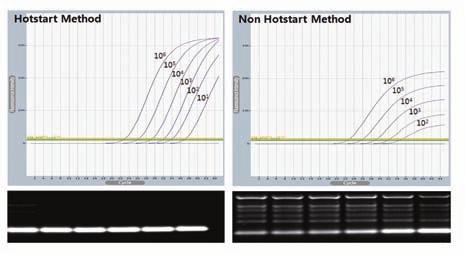 performance for probebased Real-Time PCR Description AccuPower Plus DualStar TM qpcr PreMix 는 Taq DNA polymerase 의 5 ->3 exonuclease 활성을이용한 Taqman probe 기술이적용된 Real-Time PCR 제품입니다.