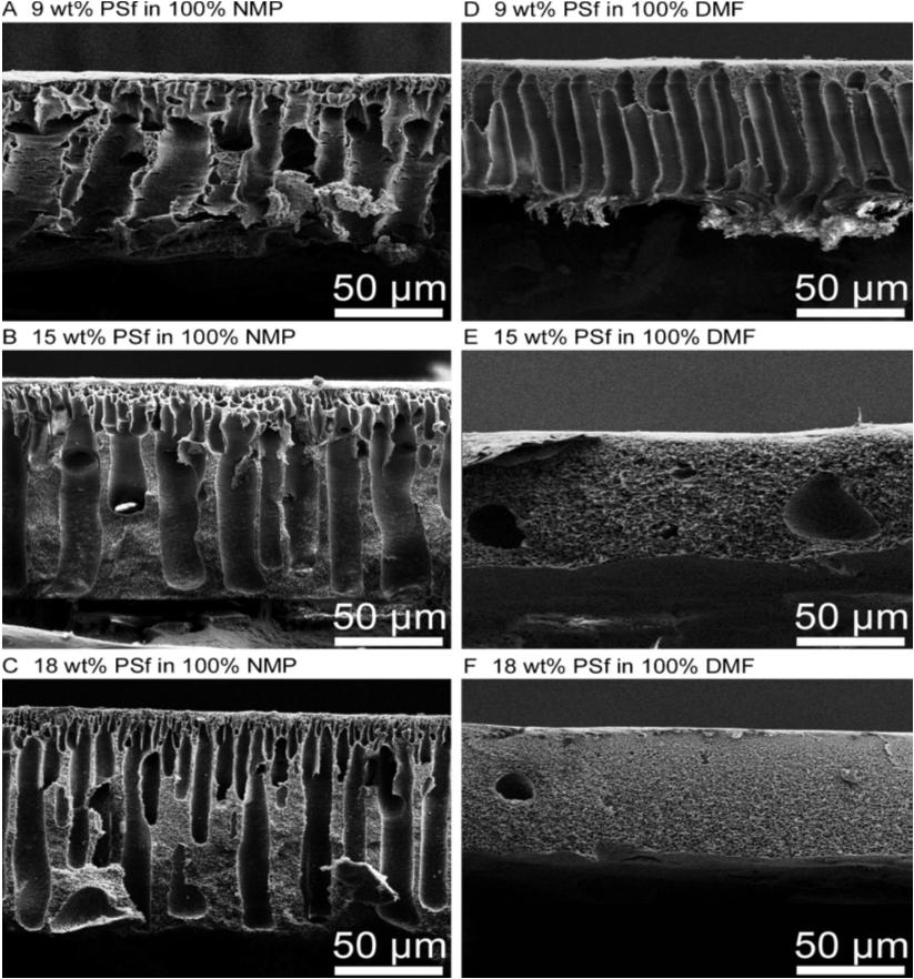 Figure 6 SEM micrographs displaying the cross-section of support membranes cast from (A and D) 9, (B and E) 15, and (C and F) 18 wt% polysulfone concentration in 100% 1- methyl-2-pyrrolidinone (NMP)
