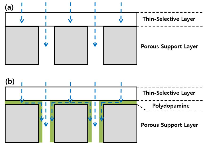 Figure 18 Schematic illustration of polydopamine coating effect in water permeation process. Blue dashed lines mean water pathways.