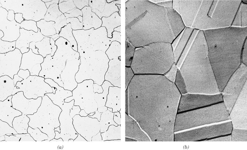 Fig. 10.29 (a) α ferrite, (b) austenite 의현미경사진.
