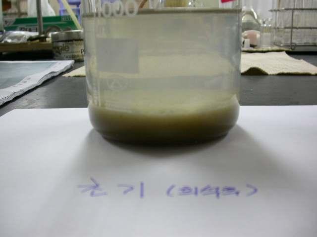 photograph of 2nd Sludge solubilized 3.