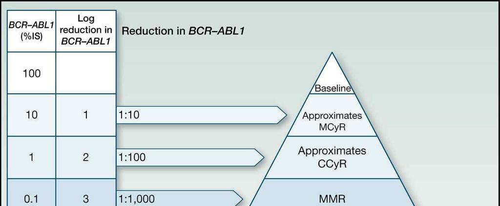 Levels of molecular response in CML.