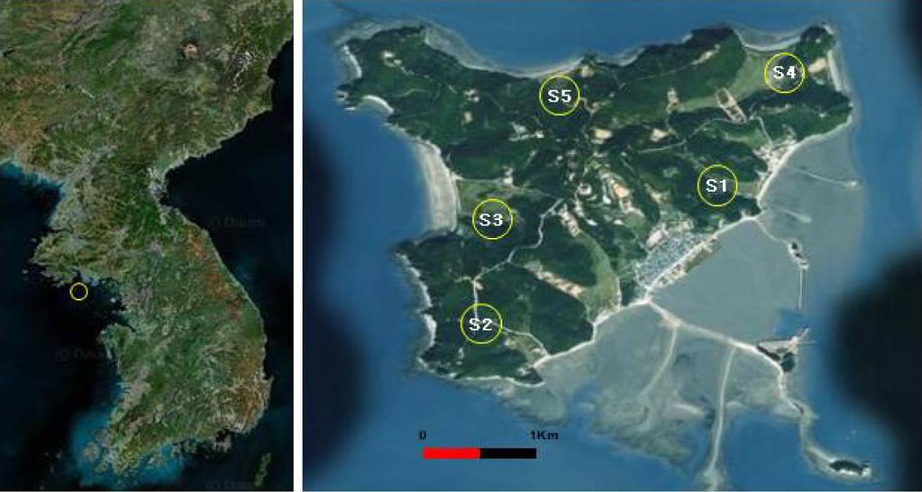 18 Seong-Joon Park, Heon-Myoung Lim, Eui-Jeong Hong, Yong-Lak Jeon and Byung-Jin Kim Fig. 1. The survey sites from Yeonpyeong-do Island. Table 1.