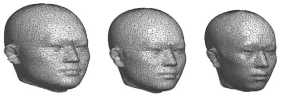 , 2010) variation of face shape 3D point data 를이용한대표형상파악연구예
