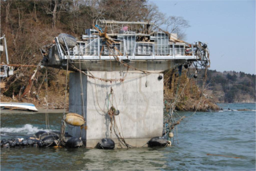 Fig. 5. Damage Mechanism of Bridge Structures (Shoji and Moriyama, 2007). Fig. 3. Steel Stoppers and Seat Extenders on P9. Fig. 4. Damage of Tsuyagawa Bridge by Tsunami.