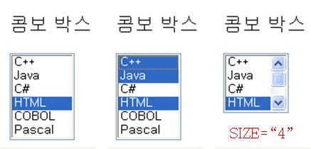 HTML/XML 인터넷보충학습자료 - 13 - <SELECT NAME="PL" SIZE="6" MULTIPLE> <OPTION VALUE="select1"> C++ </OPTION> <OPTION VALUE="select2"> Java </OPTION> <OPTION VALUE="select3"> C# </OPTION> <OPTION