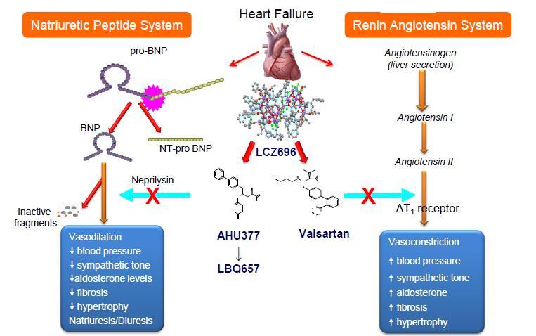 ARNI (Angiotensin Receptor Neprilysin Inhibitor) : 엔트레스토 R - Sacubitril/Valsartan = sacubitril NEJM 2014, PARADIGM-HF