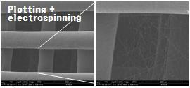 SEM images of chondrocytes on scaffolds (8 weeks), (a) and (c): side views, (b) and (d): sectional views. Figure 6. Plotting/spinning process for micro/nano scale-scaffold fabrication. 1. E.