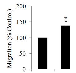 Relative expression (Fold change 1%) Relative expression (Fold change 1%) DPPH radical scavenging effect (%) Cell proliferation (%) BST-CR ( 미세먼지차단제 ) Effect 항산화활성