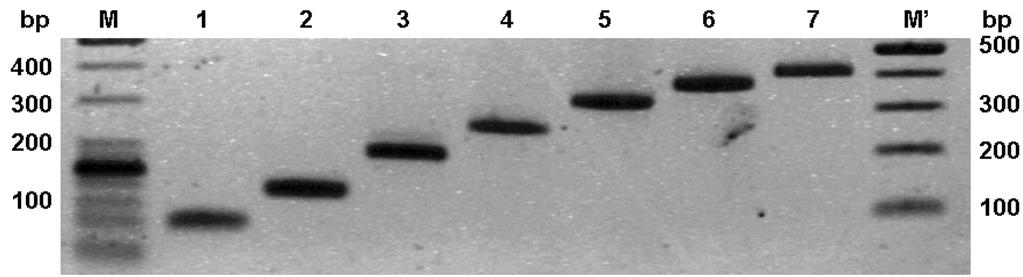 24 Eul hwan Kim et al. Kor. J. Microbiol Reaction, PCR) š. HI ƒ š yw v wš, IFA ELISA w p (16). w PCR ƒ š p š w š multiplex PCR, Realtime PCR, NASBA, PCR-ELISA PCR» w w AIV ƒ w (6).