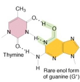 Mutation; a