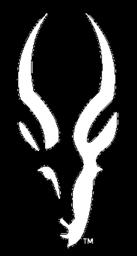Impala (the fastest of the Antelopes) Written in C++, No JVM J Uses the