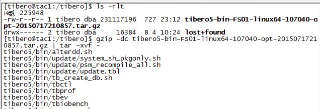 2. gen_tip 실행및설정합니다. [tibero@tac1:/tibero]$./tibero5/config/gen_tip.sh Using TB_SID "tac1" /tibero/tibero5/config/tac1.