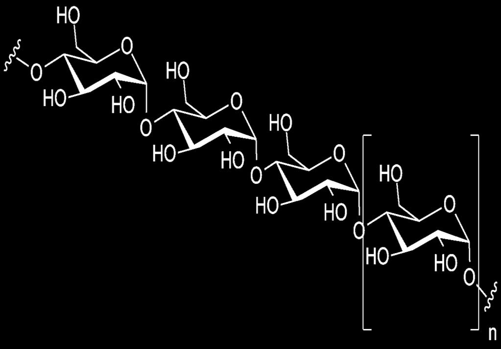 다당류 (polysaccharides) 2