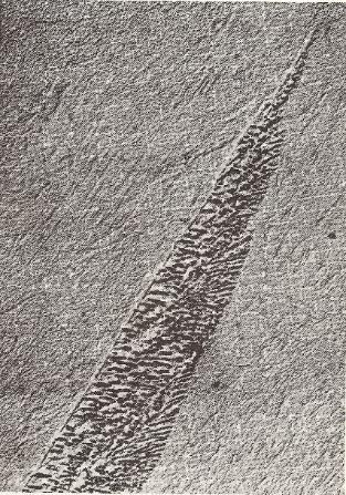 Lower bainite Lower bainite at sufficiently low T (below ~ C) Microstructure change: lath