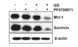 deprivationinduced cell