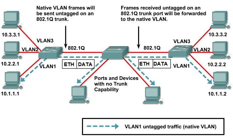 802.1Q Native VLAN Native VLAN 은