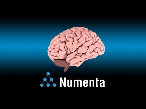 Brains Matter, Numenta(2018)