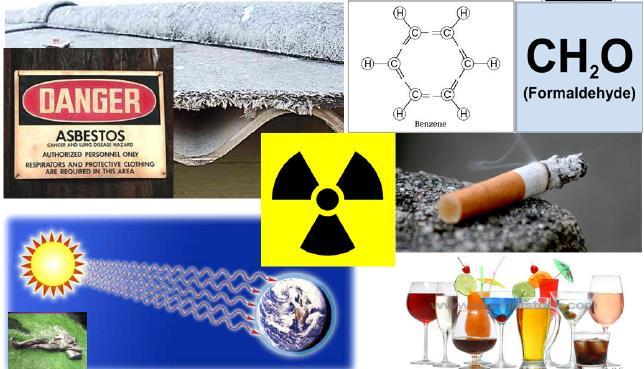 WHO 1 급발암물질 방향족탄화수소 : DMBA 와벤조피렌, 매연 ( 일산화탄소, 다이옥신 ), 담배연기, 불에탄고기 (PAH, 다환성방향족탄화수소 ), 산화에틸렌