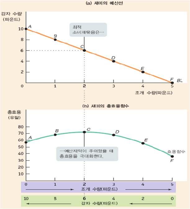 제 10 장합리적인소비자 (http://blog.daum.