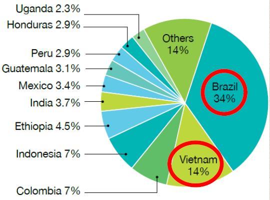 커피의생산지 - 세계의가장큰커피생산지를비율로나타낸표 - 브라질이 34% 로가장크고베트남이
