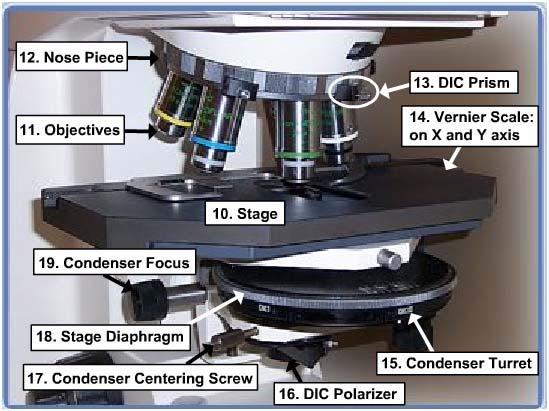 정수처리기준선진화연구 DIC 장치편광판 (polarizer) 과 2매의 DIC 프리즘으로되어있고