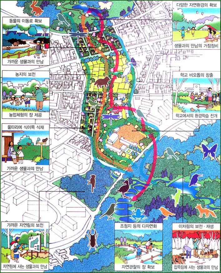환경규제지역의에코시티모델기본안내서 그림 32. 지구단위의생태네트워크계획도이미지 ( 출처 : 이승은등, 도시생태네트워크계획, 2002) 다.
