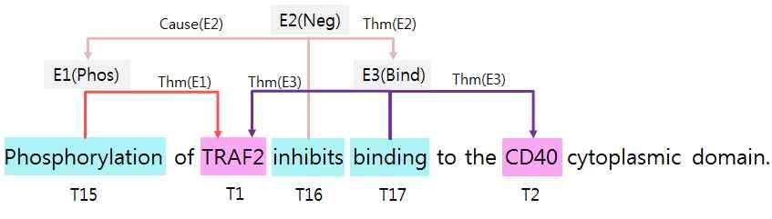 Phosphorylation of TRAF2 inhibits binding to the CD40 cytoplasmic domain. 이문장에대하여제공되는이벤트태깅정보는다음네모안의내용과같다. 여기에서 T1, T2 는단백질을나타내며 T15, T16, T17 은이벤트트리거를나타낸다. E1, E2, E3 는이벤트를나타내며각이벤트의논항정보도포함한다.
