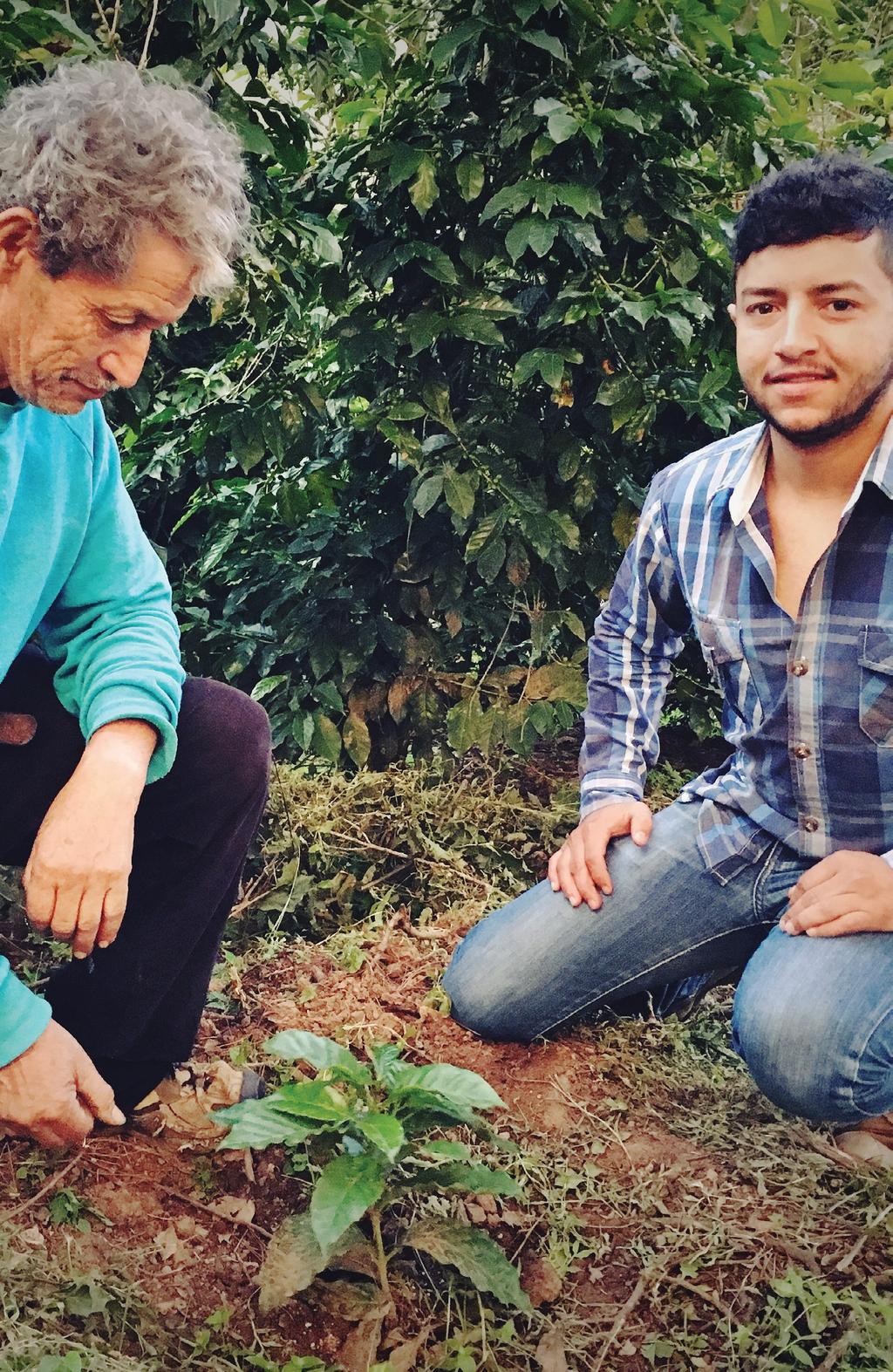 7 스타벅스 농가로부터 One Tree for Every Bag Commitment 2대째 커피를 생산하고 있고 사랑스러운 손주를 두고 있는 Catalina Pacheco는 과테말라의 산비탈에 숨어있는 자신의 농장 La Finca San José에서 생산된 소량의 커피를 체계적으로 로스팅합니다.