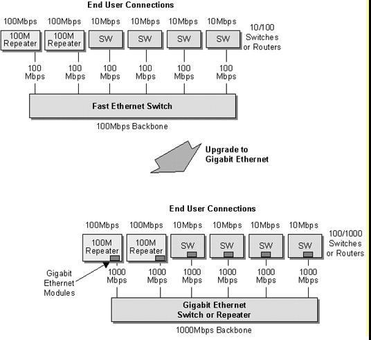 Gigabit Ethernet Migration: