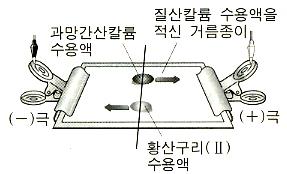 7. 다음은원자가가장많은수의전자를얻어서형성된이온은? 1 2 3 4 5 10. 무색의질산칼륨( ) 수용액을적신거름종이를유리판위에놓고, 푸른색황산구리( ) ( Ⅱ) 수용액과보라색과망가산칼륨( ) 수용액을각각떨어뜨린후전원을연결하고관찰하였더니, 다음그림과같이보라색성분은 (+) 극으로, 푸른색성분은 (-) 극으로이동하였다. 8.