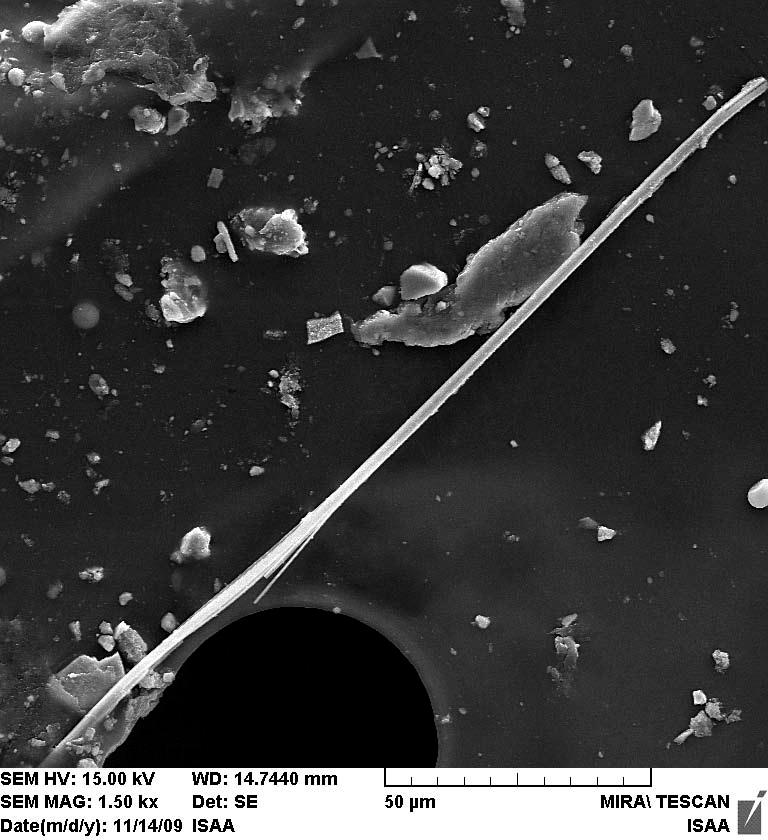 사용하는보양용비닐조각에서검출된트레몰라이트석면석면의전자현미경사진 >  