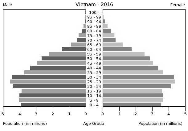 3) 영유아가정 미국의리서치회사인닐슨에의하면 2015년베트남에서 1세미만의아이가있는가구가 12%, 1-2세의아이가있는가구가 19% 로, 베트남에서 2세미만의아동이있는가구는 31% 에달하고있다.