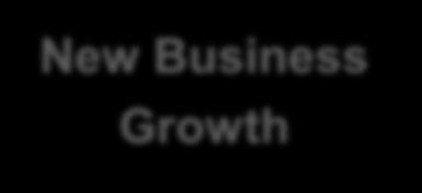 2011 주요성과 New Business Growth