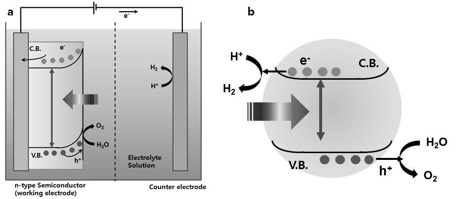 인공광합성 Figure 7. (a) 전극을이용한 PEC 형물분해와 (b) 촉매입자형물분해에서의전하이동과화학반응, 촉매입자형에서는전자 가반도체에서전해질로이동할때 potential barrier 가있다. 3. 입자촉매형인공광합성기술 3.1.