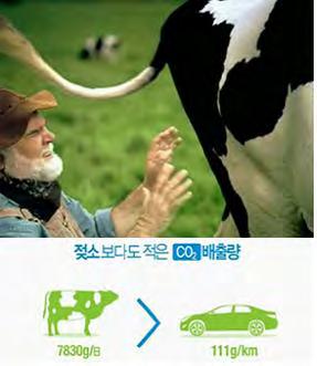 육식과지구온난화 자동차 1 대 _4,700kg/ 년 = 한우 4.2 마리 = 젖소 1.6 마리 숲의파괴와생물량감소 _CO2, O2 1kg 의쇠고기 _16kg 의곡물, 채식에소요되는에너지의 39 배, 8.