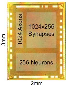 시각정보 단계 단위 당 개이상의시냅스및 개 이상의뉴런을가지는뉴로모픽칩제작및동작특성확보 단계