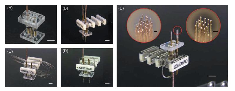 2.1.2.2 침습형전극 (Invasive electrodes) 본장에서는침습형전극으로서가장활발하게연구되고있는 5 가지종류의 microelectrode 들을검토하고자한다 : Wire-type, mass-fabricated, silicon-based, ceramic-based 그리고 polyimide-based microelectrodes.