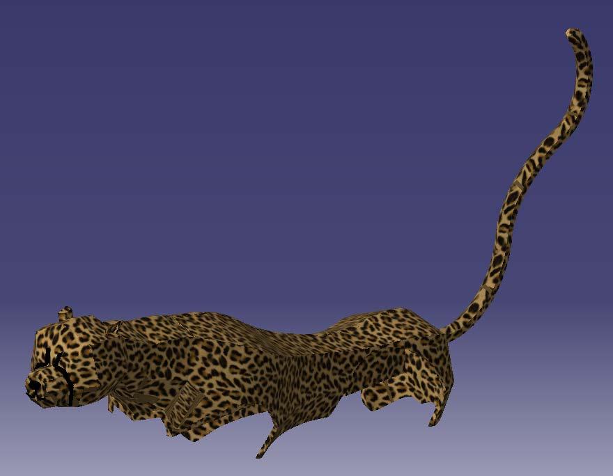 Cheetah DESIGN