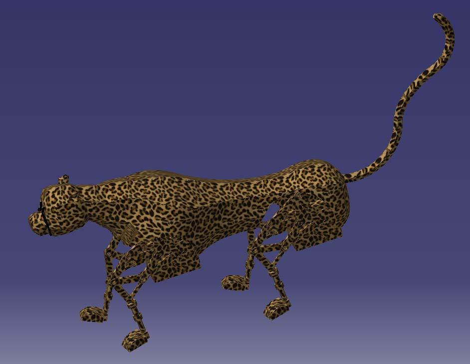 Cheetah DESIGN Cheetah Cheetah face + Cheetah