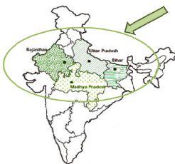 인도북부의옥수수주재배지역은 Rajasthan,Utarpradesh,Bihar,Madhya pradesh 지역으로 전통적인옥수수재배지역으로주로복합품종을이용한자급용식량으로서옥수수를이용하고 있음 인도북부옥수수재배지역