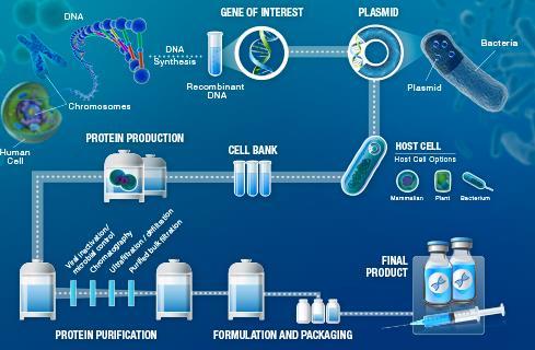 바이오의약품생산과정 자료 : BiosimilarFacts, KB 투자증권 글로벌바이오의약품수요 / 공급전망 삼성바이오로직스바이오의약품수주계획 (mil.