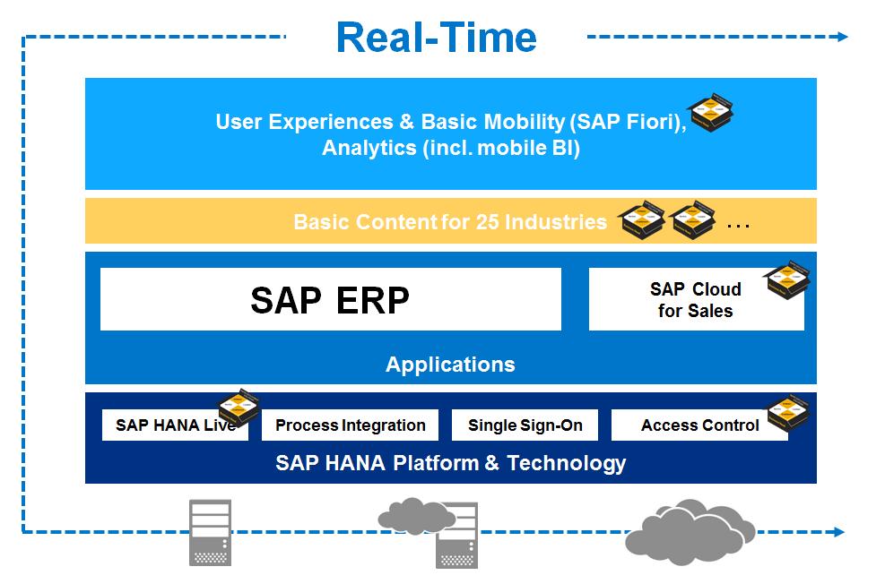 SAP ERP Foundation Extension SAP ERP Foundation Extension 은 Suite on HANA 와 SAP