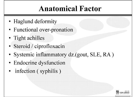 Syposium: Ankle